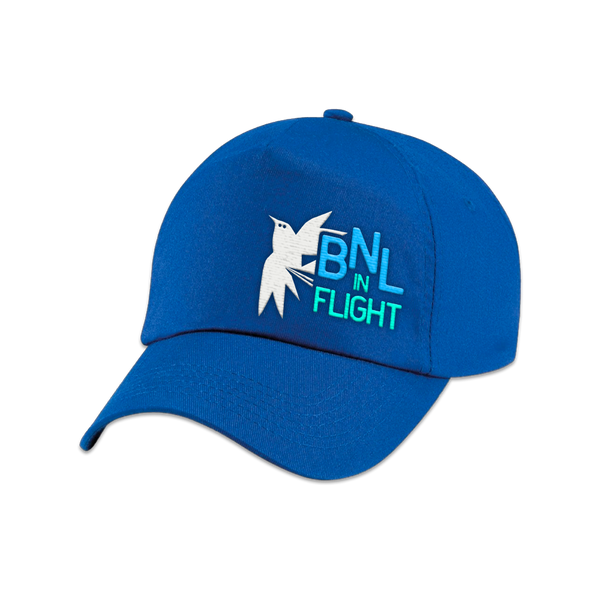 IN FLIGHT BIRD BLUE CAP