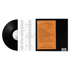 An Inbuilt Fault - Standard LP