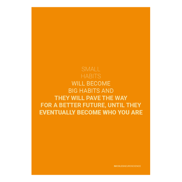SMALL HABITS BECOME BIG HABITS - ART PRINT