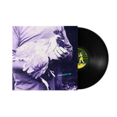 Nourished By Time - Catching Chickens EP