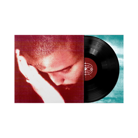 Nourished By Time - The Passionate Ones LP