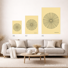 MENTAL CURRENCY - ART PRINT