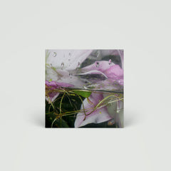 Låpsley - These Elements - 12" EP